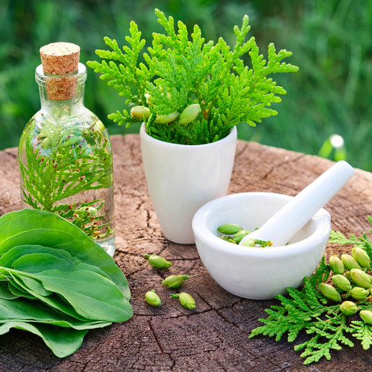 Positive Benefit Of Herbal Products